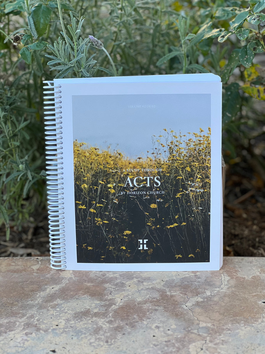 Horizon Bible Study: ACTS Vol. 02