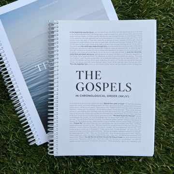 Horizon Bible Study: THE GOSPELS Study Companion