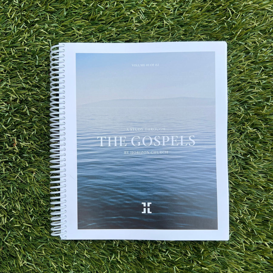 Horizon Bible Study: THE GOSPELS - Vol. 01