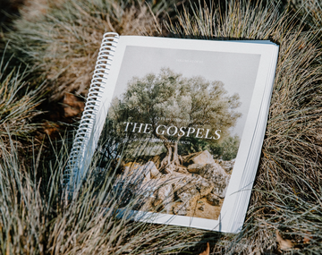 Horizon Bible Study: THE GOSPELS - Vol. 02